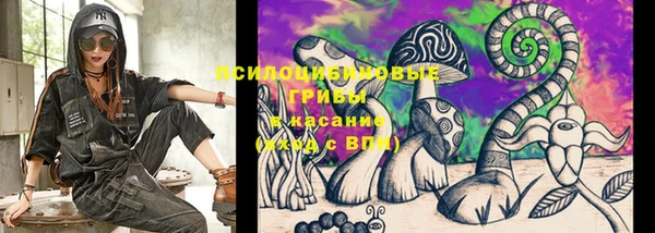 СК Абдулино