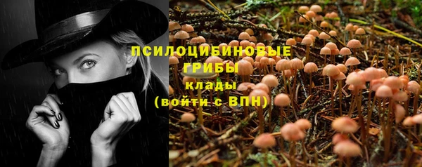 СК Абдулино