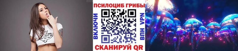 Псилоцибиновые грибы Cubensis  сколько стоит  Суздаль 