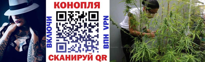МАРИХУАНА гибрид  где купить   Суздаль 